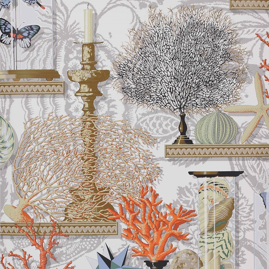 Le Cabinet de Curiosites Fabric in Corail by Manuel Canovas