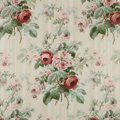 Jubilee Rose, Pink/Green