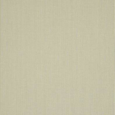 Dart Stripe, Olive
