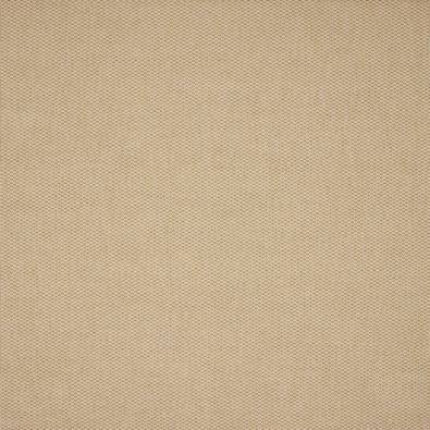 Buckton, Sienna