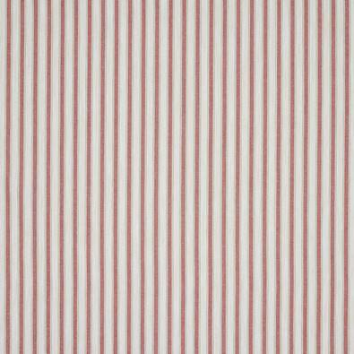 Frances Stripe, Tomato