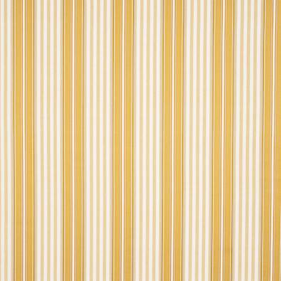 Deacon Stripe, Yellow