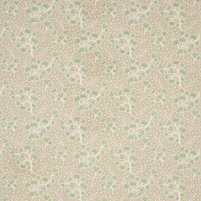 Canya, Green