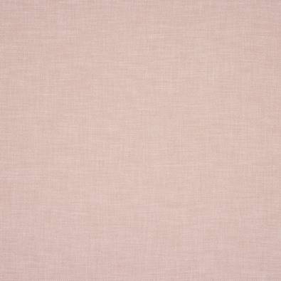 Petrus, Pink