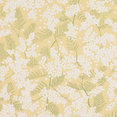 Mimosa Wallpaper, Yellow