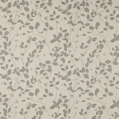Cosimo, Silver